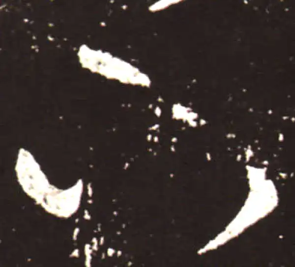 王献之·草书·下