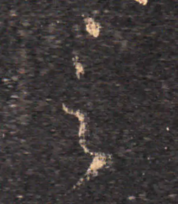 王羲之·草书·言