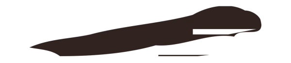 祝允明「一」字书法