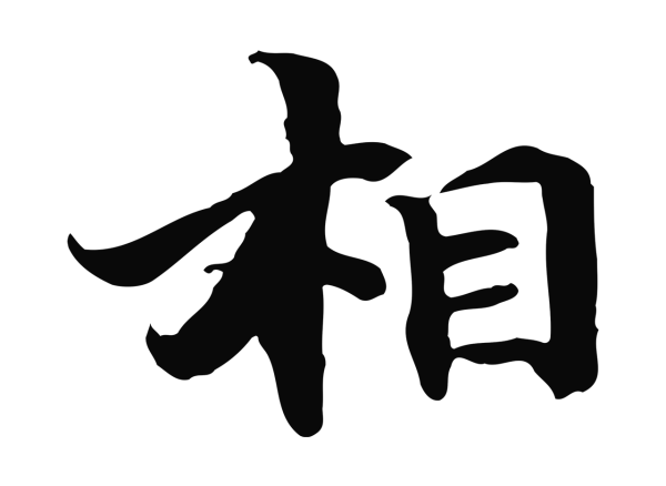 管道昇「相」字书法