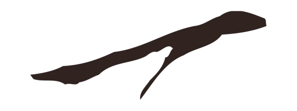 邓文原「一」字书法