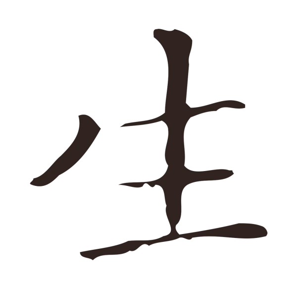 祝允明「生」字书法