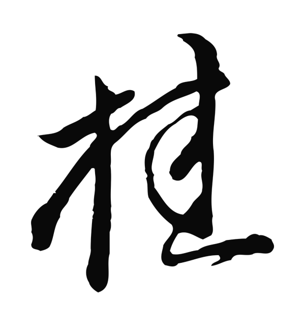 沈粲「桂」字书法