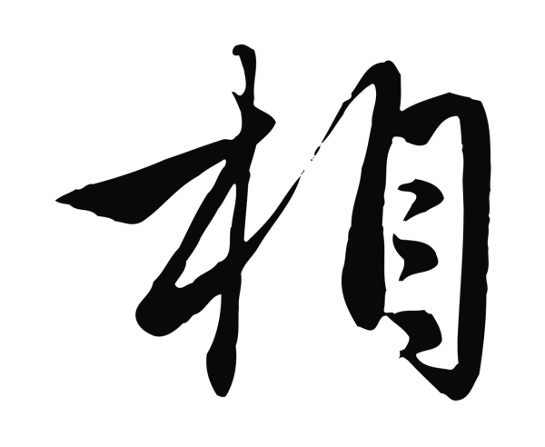 管道昇「相」字书法