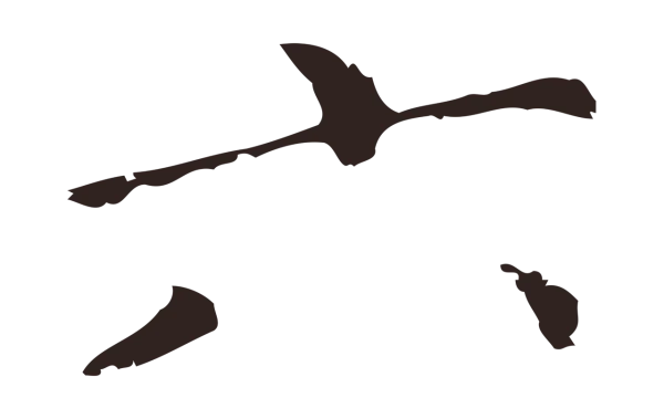 祝允明「六」字书法