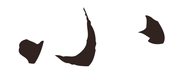 陈基「小」字书法