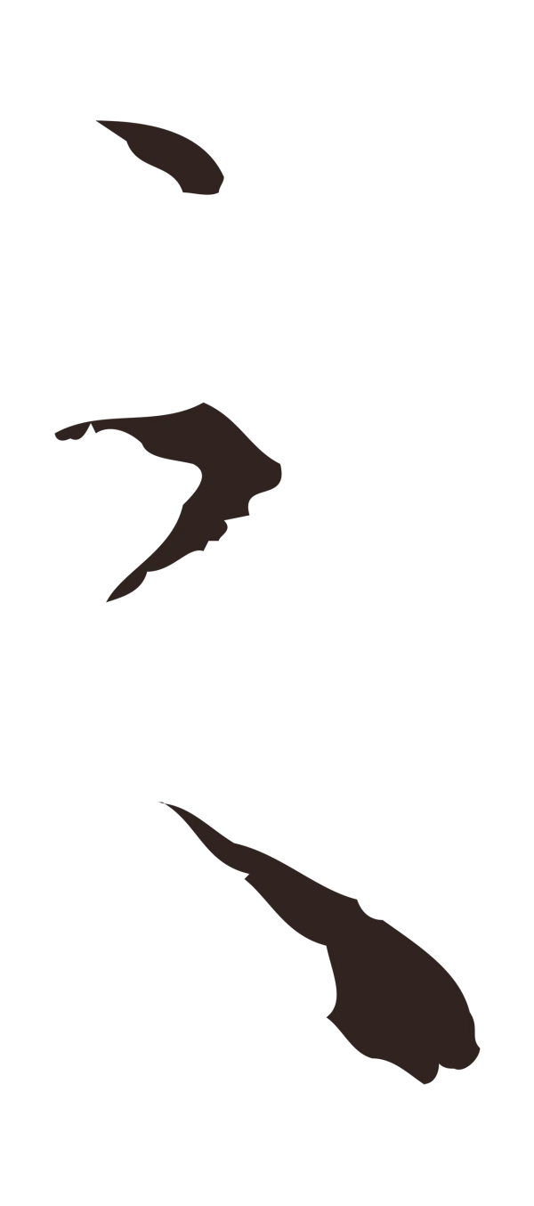 祝允明「之」字书法