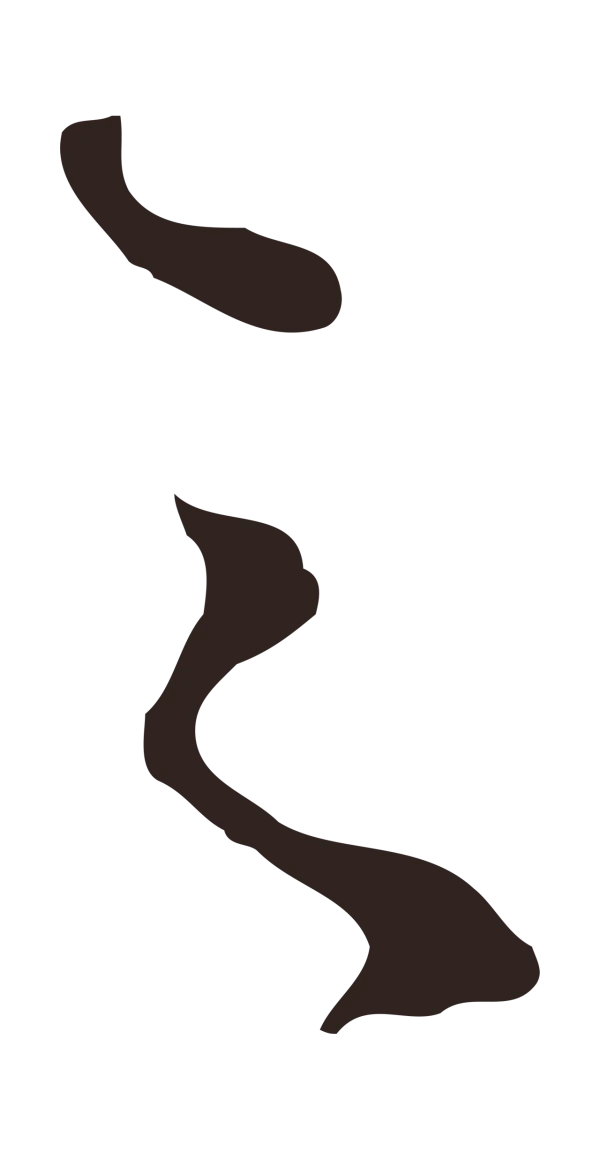 邓文原「之」字书法