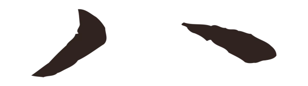 张雨「八」字书法