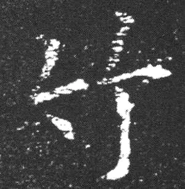 欧阳询·楷书·竹