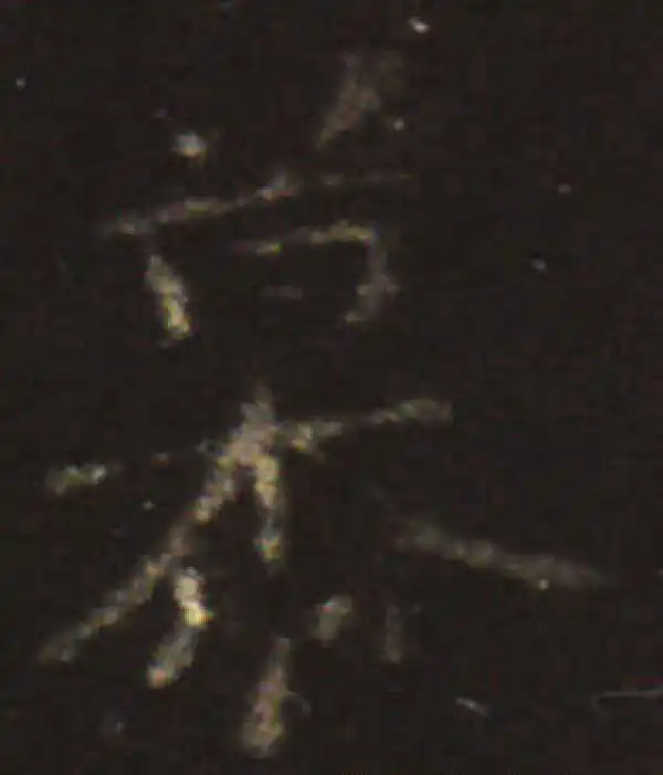 王献之·楷书·慕