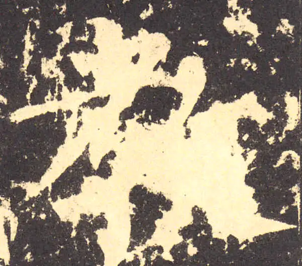 柳公权·楷书·教