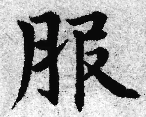 赵孟頫·楷书·服