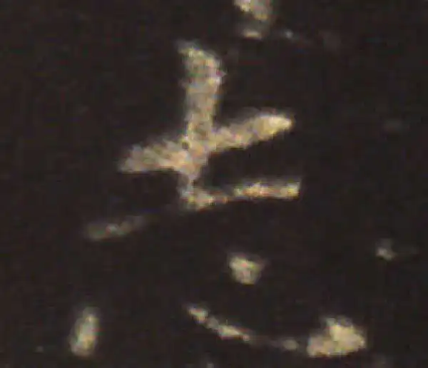 王献之·楷书·誌