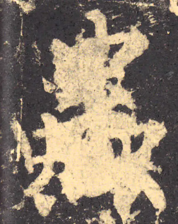 柳公权·楷书·虫