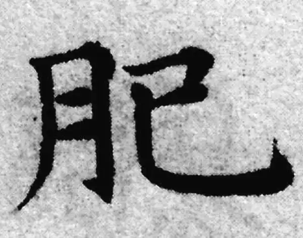 赵孟頫·楷书·肥