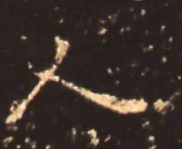 王献之·楷书·人