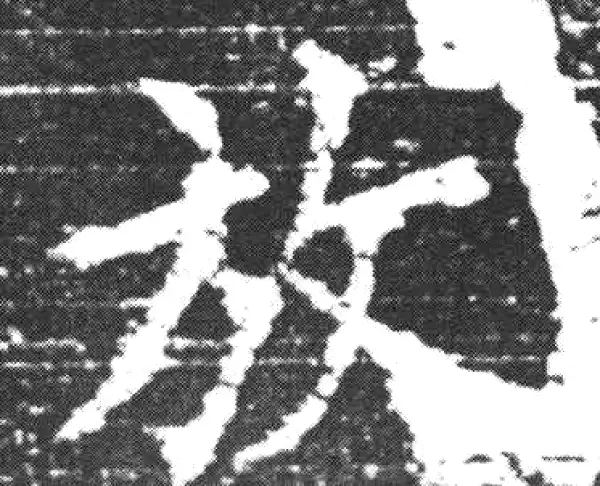 欧阳询·楷书·放