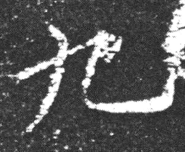 欧阳询·楷书·九