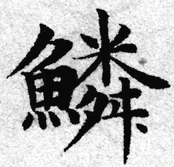 赵孟頫·楷书·鱗