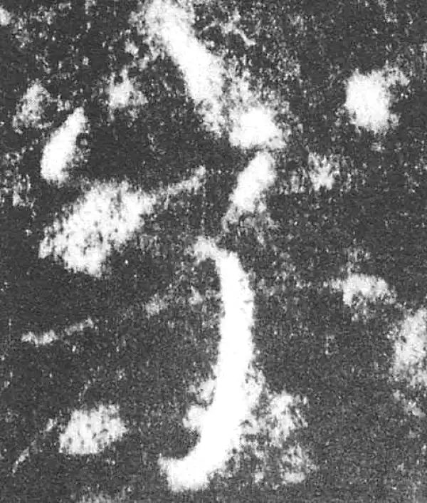 颜真卿·楷书·字