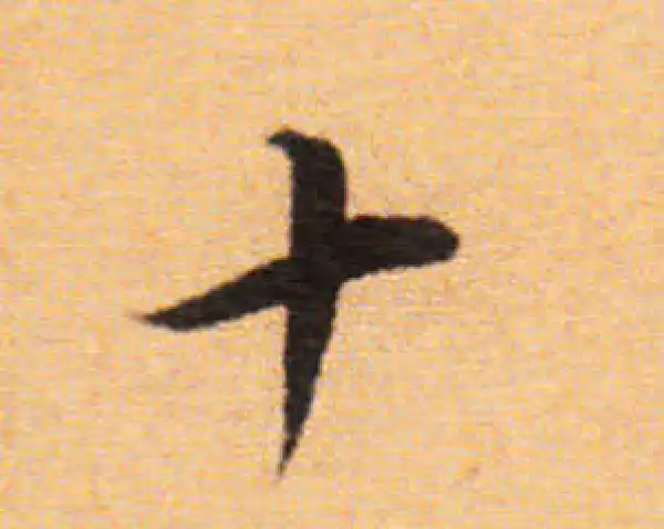 董其昌·楷书·十