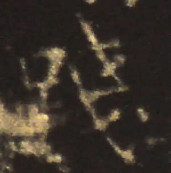 王献之·楷书·踐