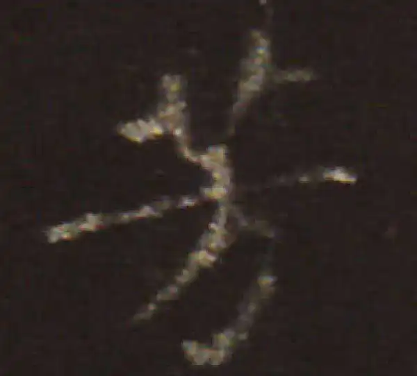 王献之·楷书·芳