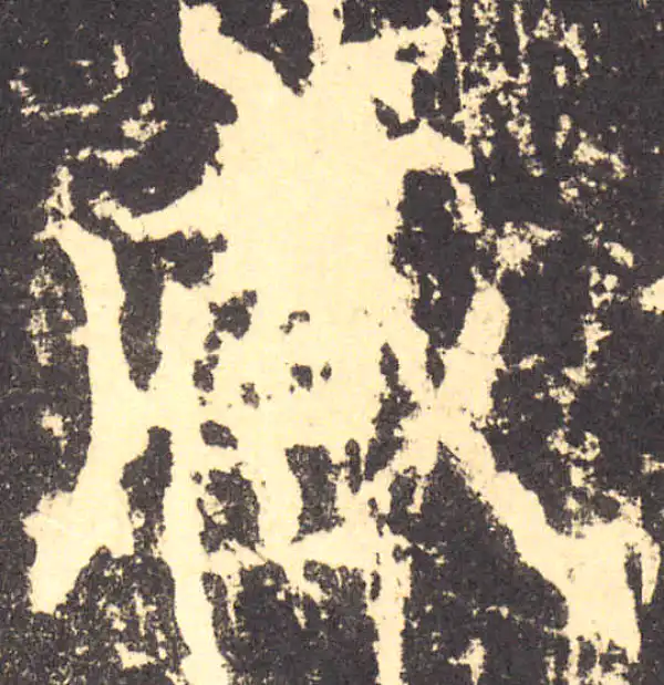 柳公权·楷书·臧