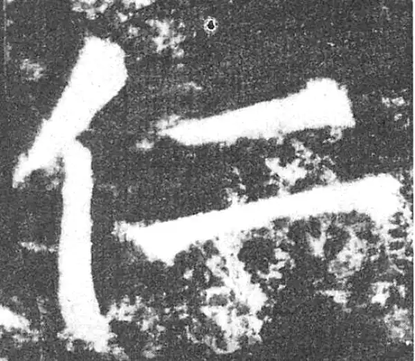 颜真卿·楷书·仁