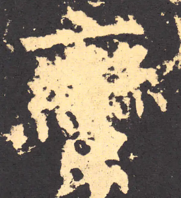 柳公权·楷书·蠻