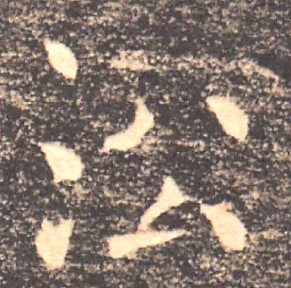 褚遂良·楷书·沿