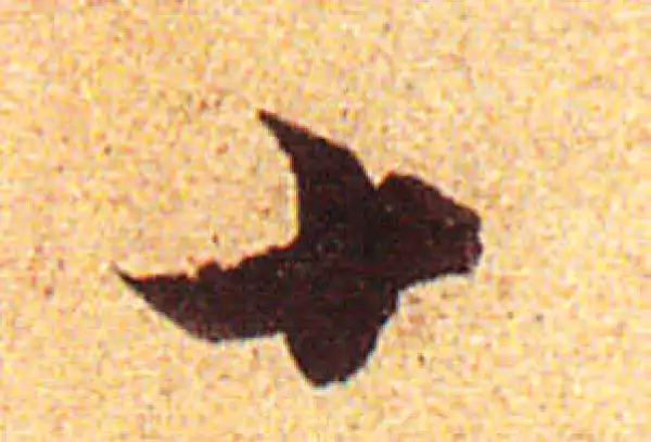 赵孟頫·行书·十