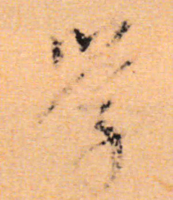 董其昌·行书·学