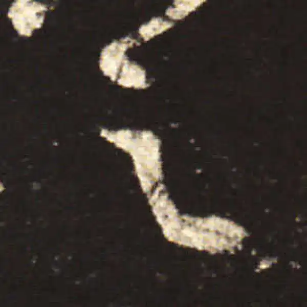 王献之·行书·之