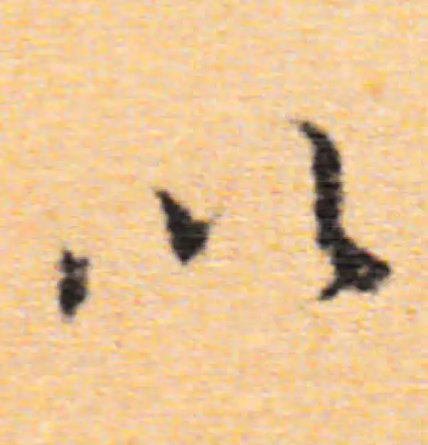 董其昌·行书·以