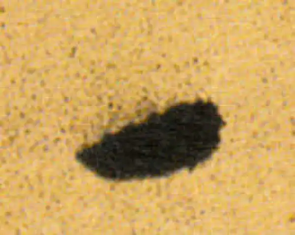 董其昌·行书·一