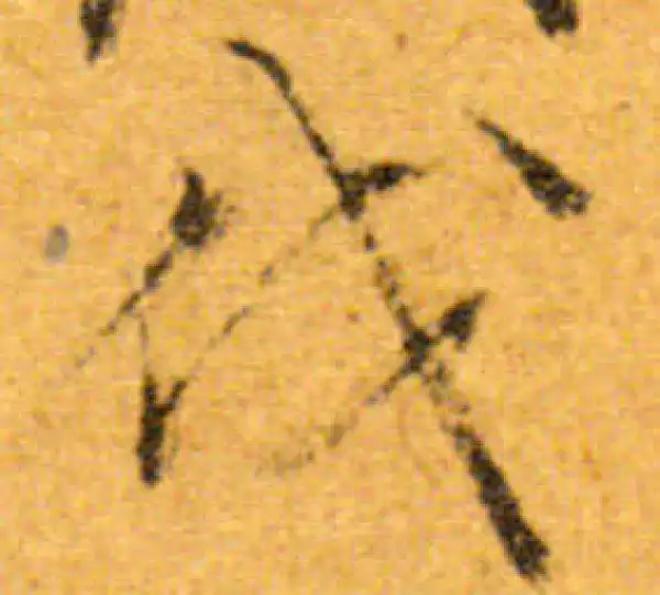 文徵明·行书·伐