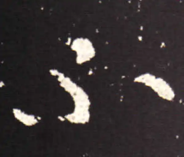 王献之·行书·不