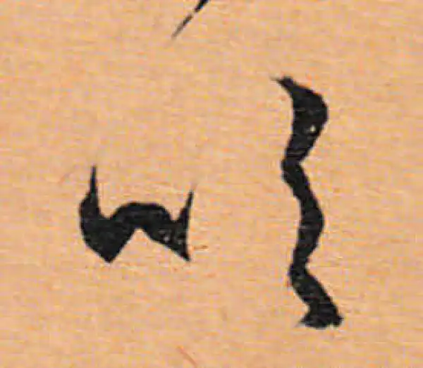 文徵明·行书·吹