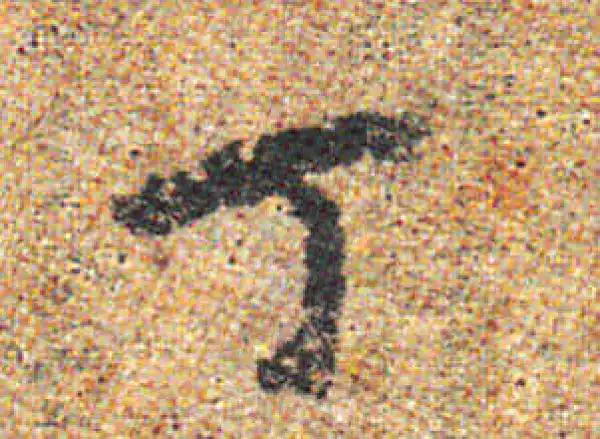 杨凝式·行书·丁