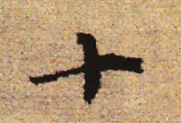 赵孟頫·行书·十