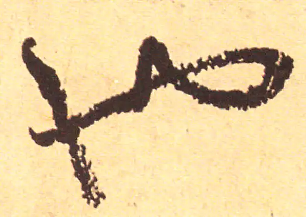 赵孟頫·行书·也