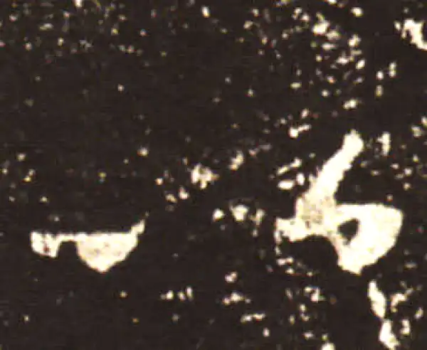 王献之·行书·以