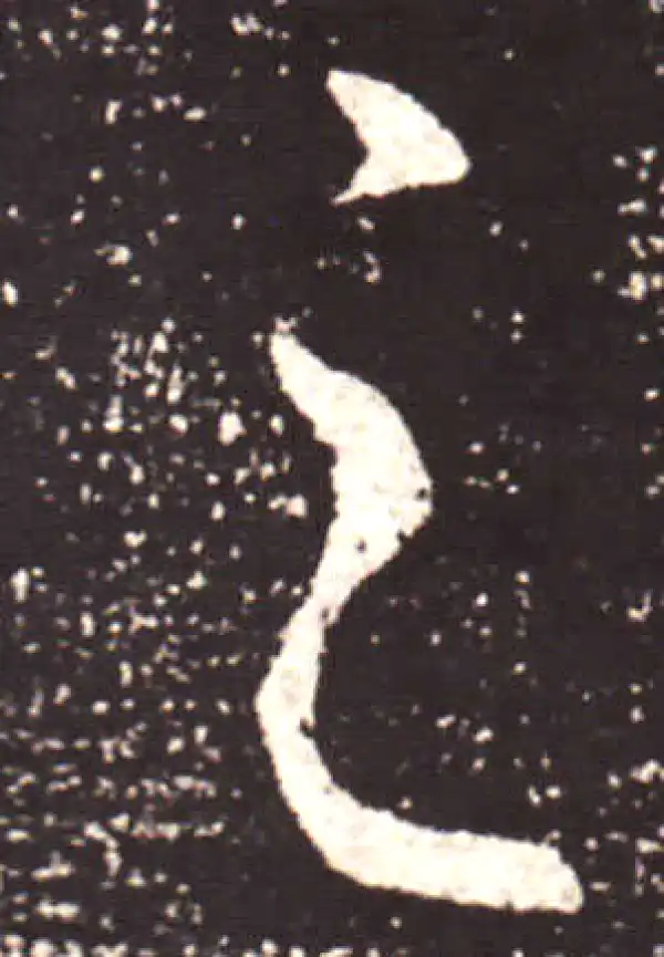 王献之·行书·之