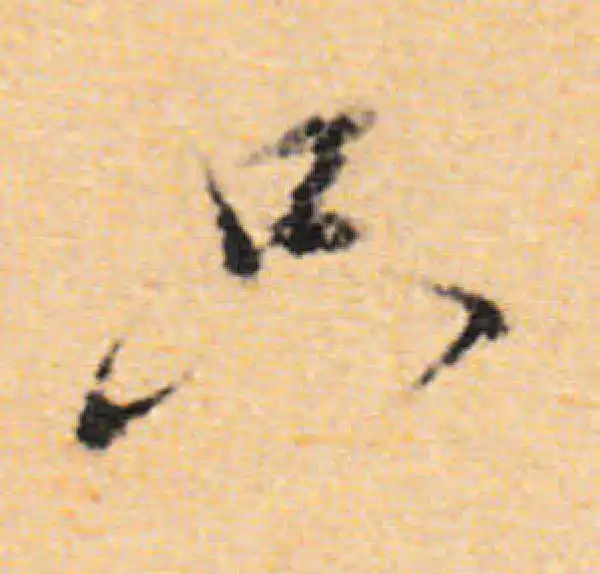 董其昌·行书·只