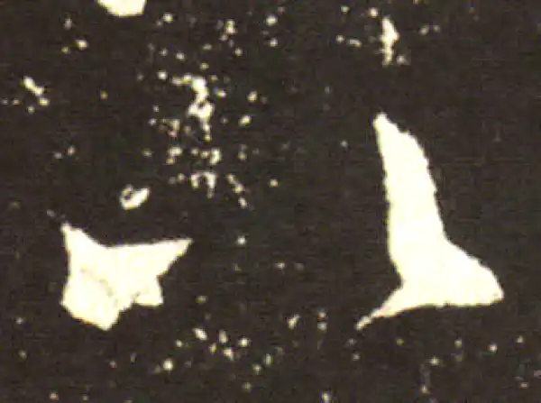 王献之·行书·以