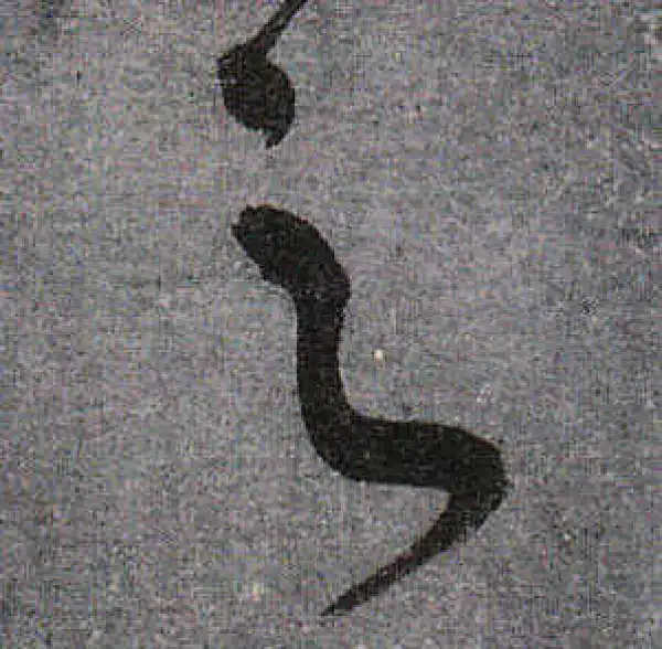 颜真卿·行书·之