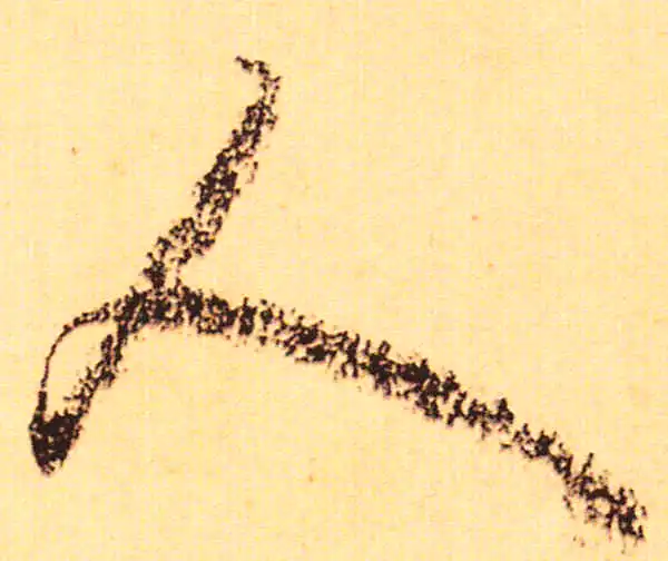 赵孟頫·行书·人