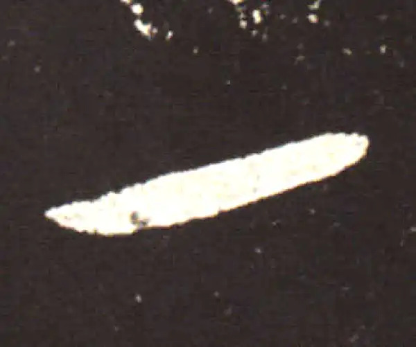 王献之·行书·一